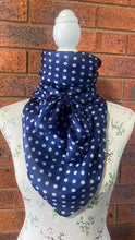 Load image into Gallery viewer, Silk Wild Rags & Neck Ties